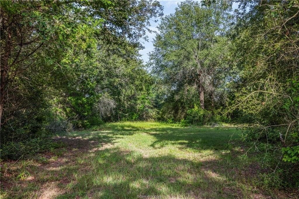 173 acres in Burleson County - photo 11