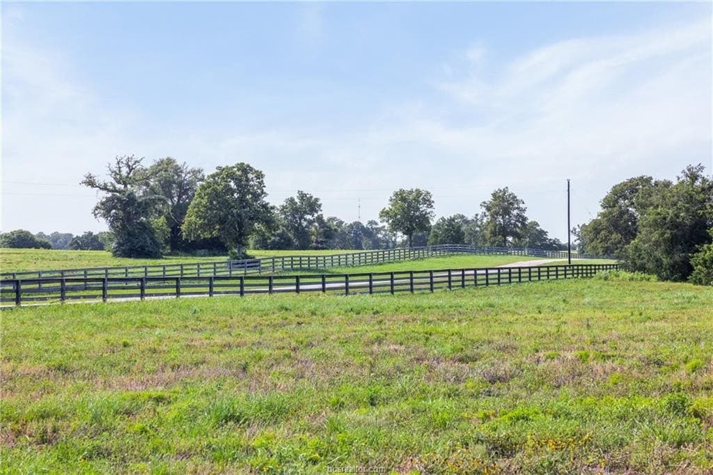 173 acres in Burleson County - photo 6