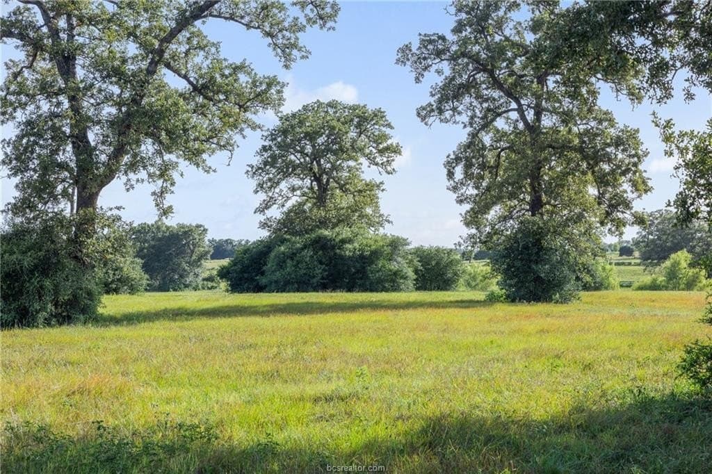 173 acres in Burleson County - photo 10
