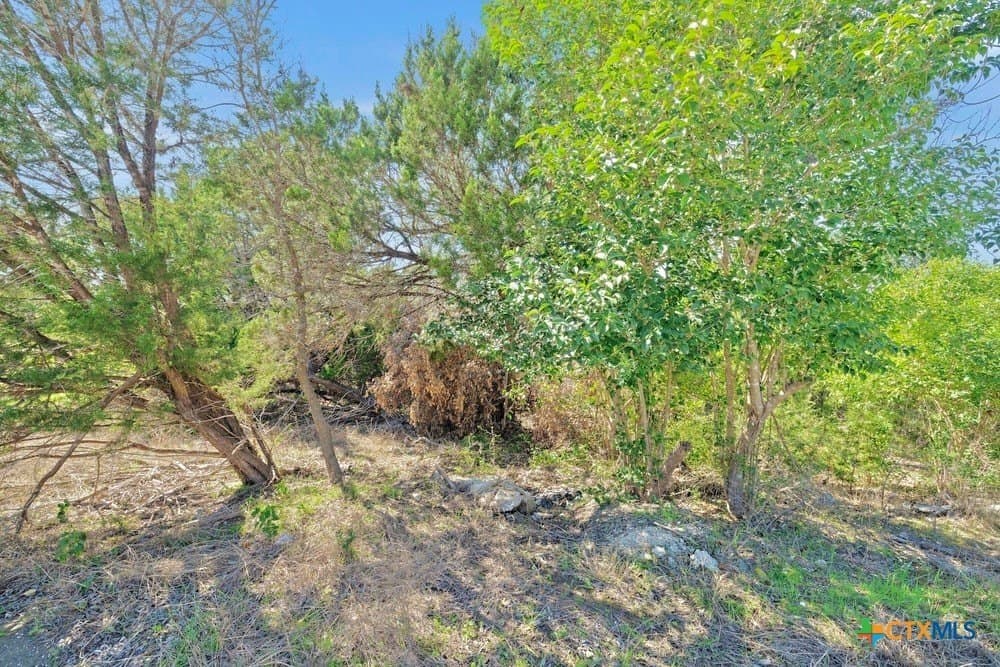 0.84 acres in Bell County - photo 19