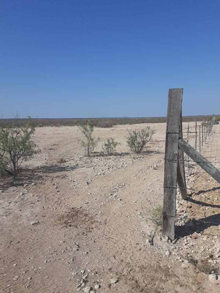172 acres in Terrell County - photo 9