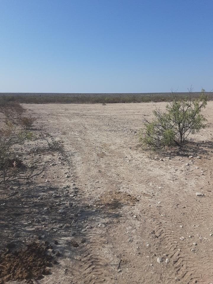 172 acres in Terrell County - photo 7