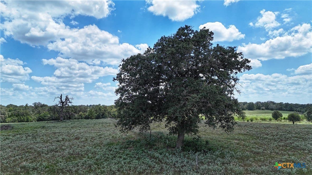 10.24 acres in Gonzales County - photo 12