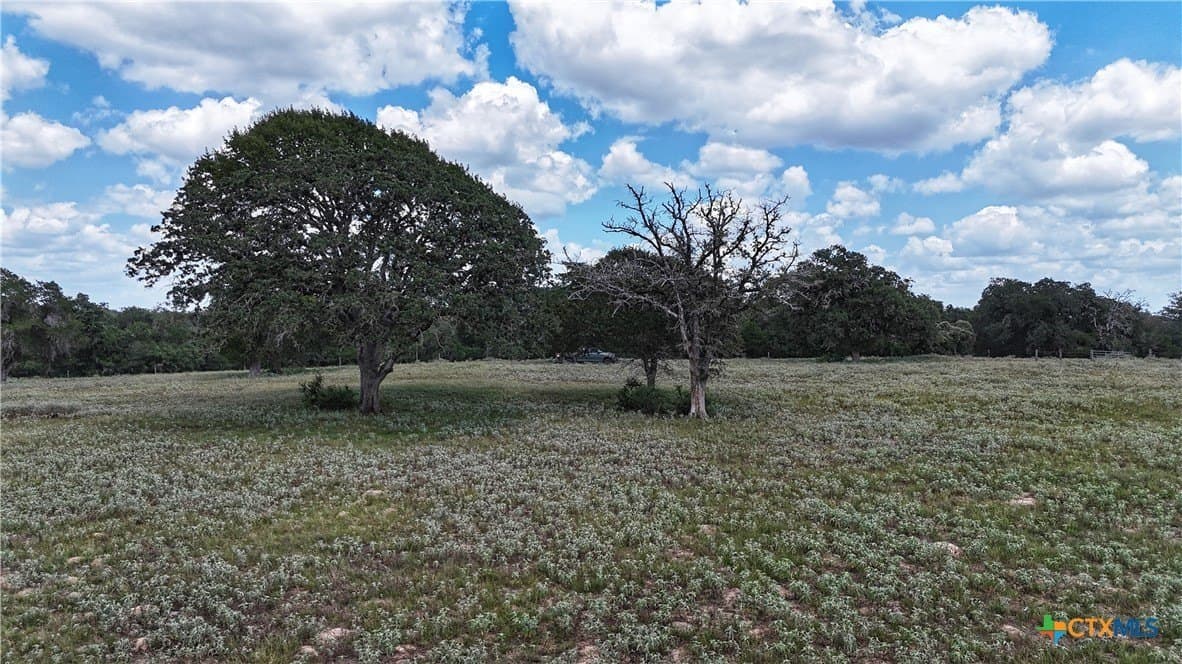 10.24 acres in Gonzales County - photo 9
