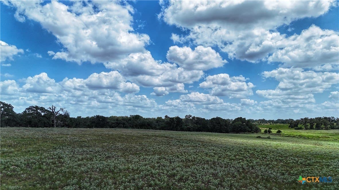 10.24 acres in Gonzales County - photo 11