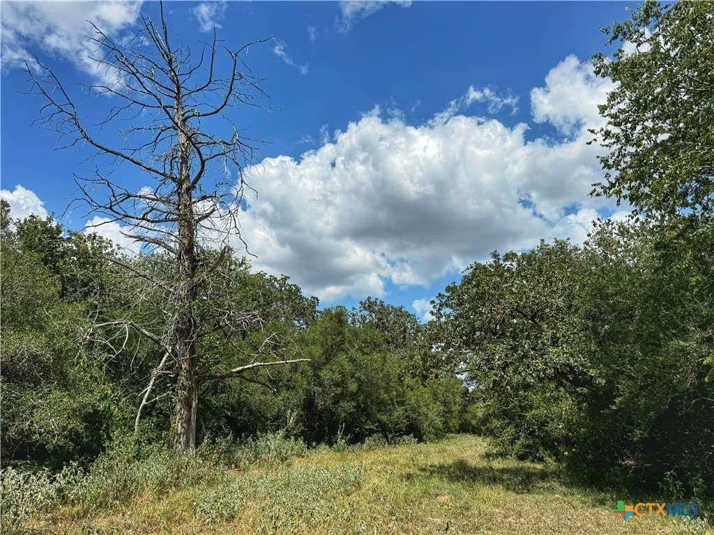 10.24 acres in Gonzales County gallery image 4