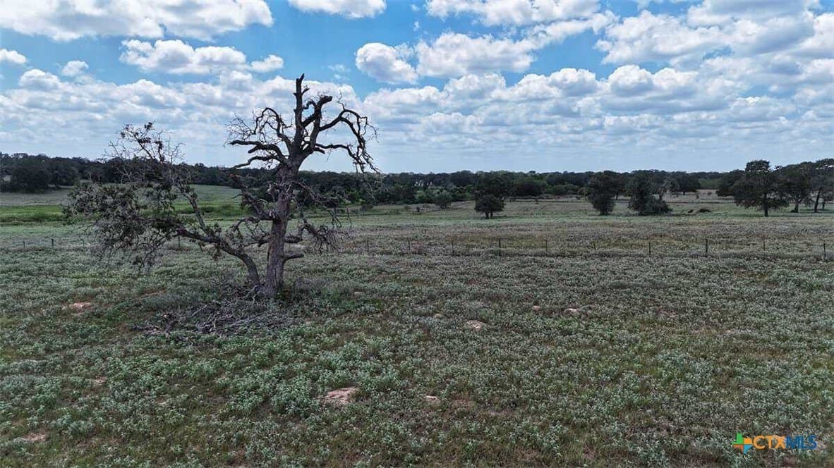 10.24 acres in Gonzales County - photo 6