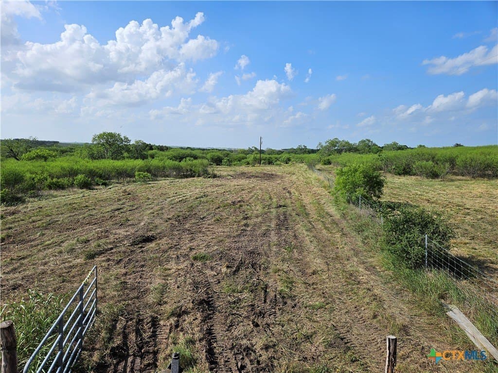 58.1 acres in DeWitt County - photo 9