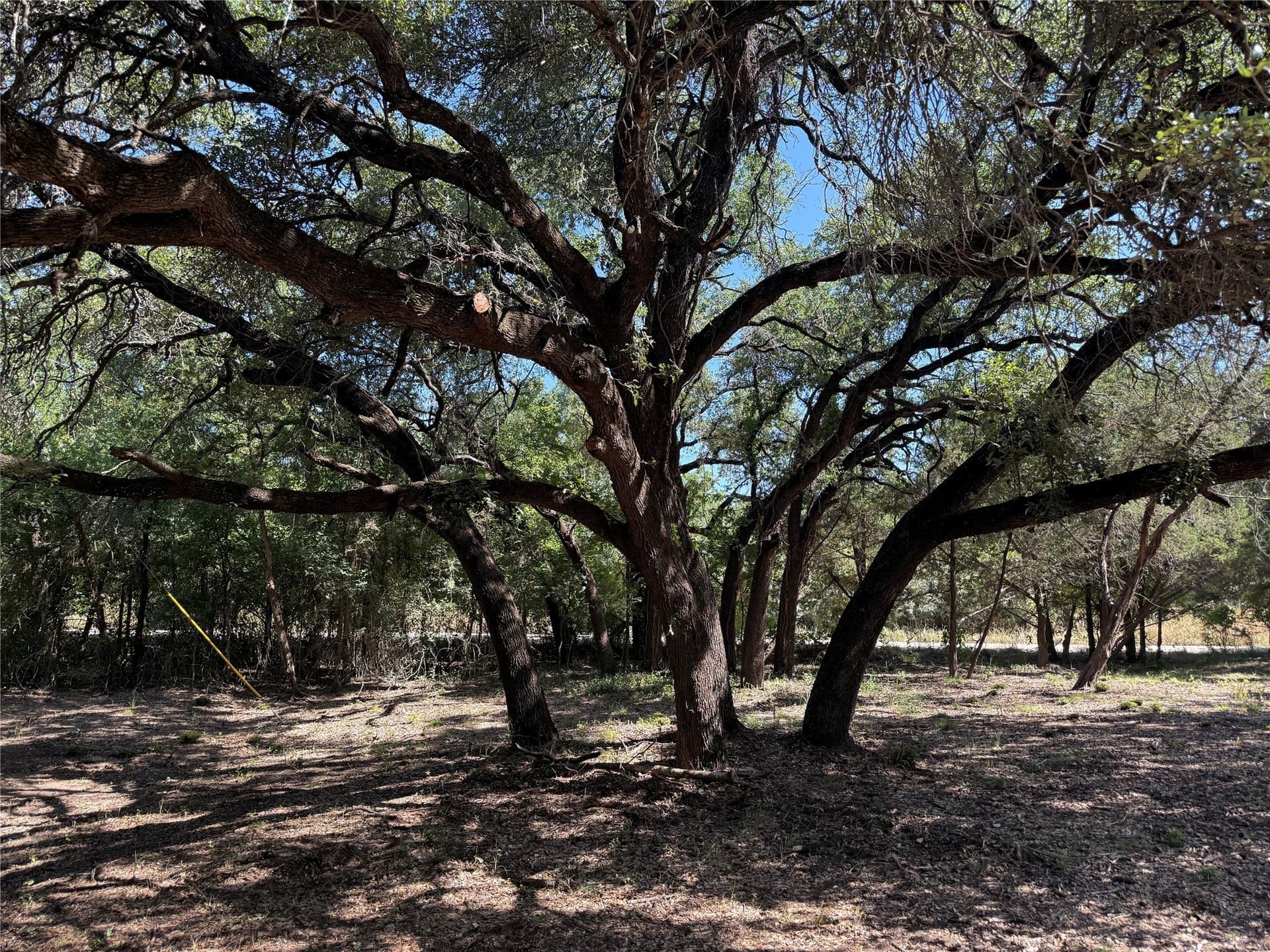 2.19 acres in Bosque County featured view