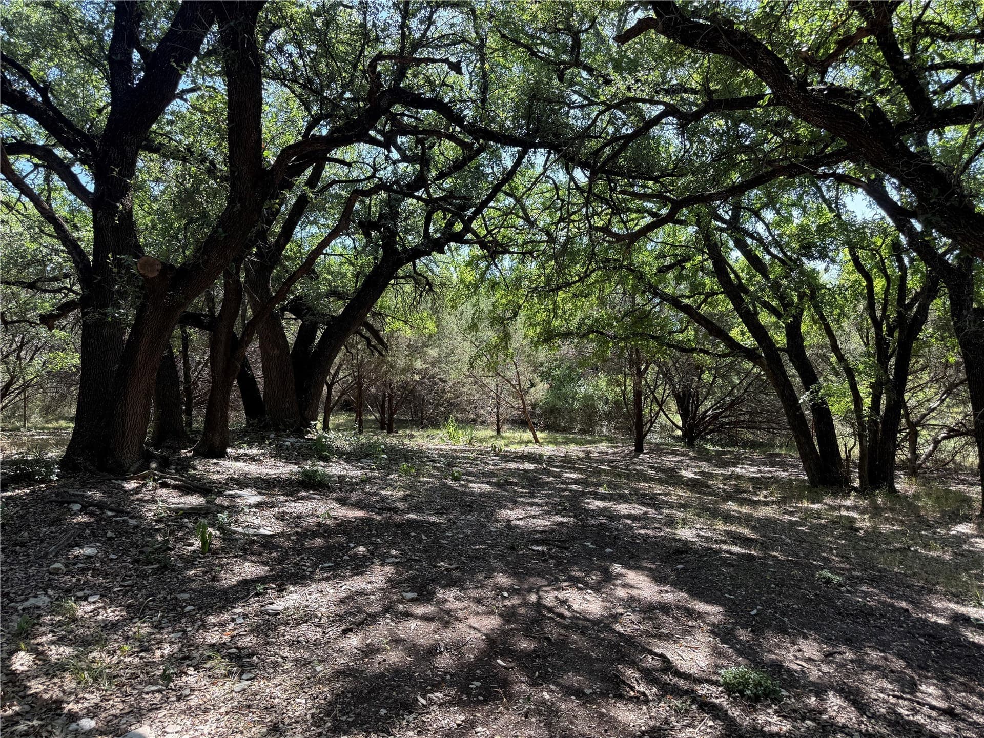 2.19 acres in Bosque County - photo 6