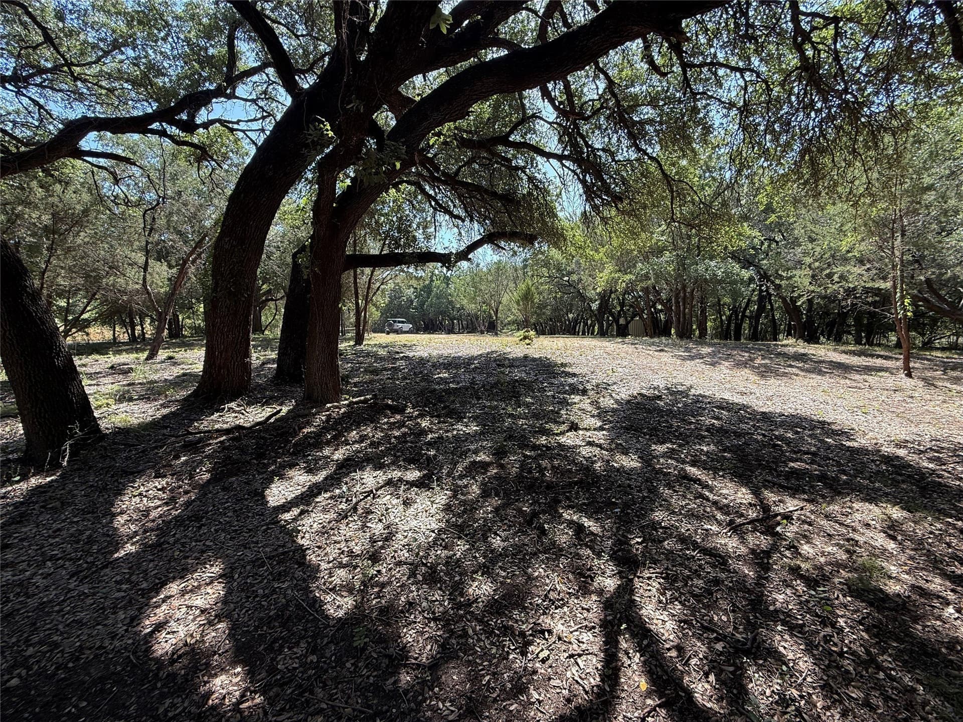 2.19 acres in Bosque County gallery image 4