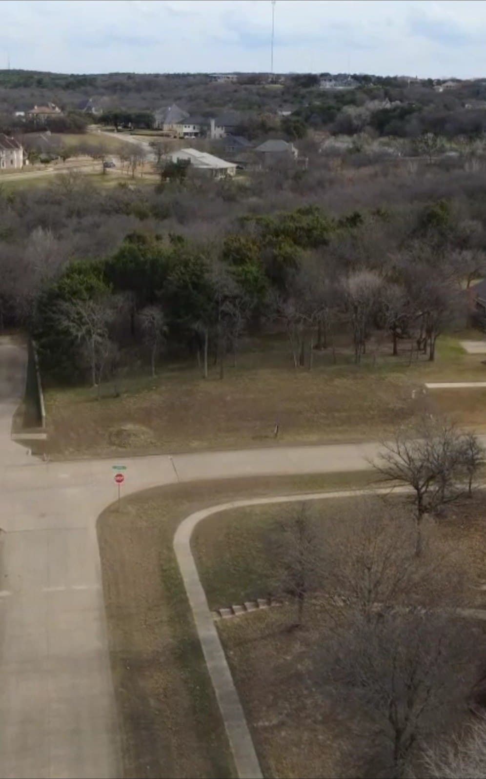 1.21 acres in Dallas County gallery image 4