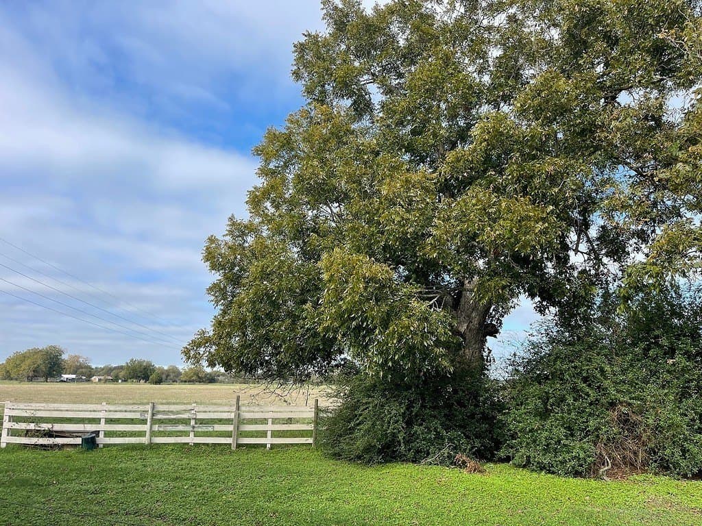 6.19 acres in Fayette County - photo 9