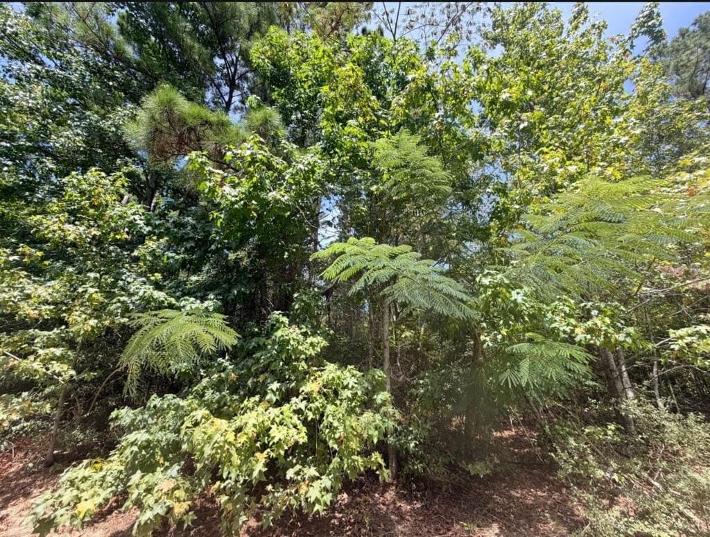 0.44 acres in Texas County - photo 2