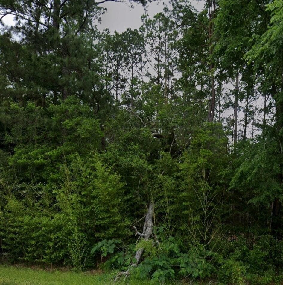 0.44 acres in Texas County - photo 3