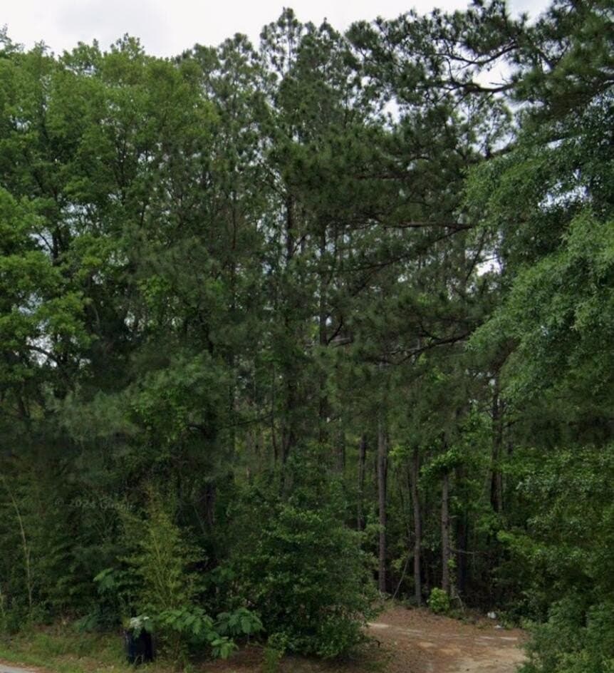 0.44 acres in Texas County - photo 4