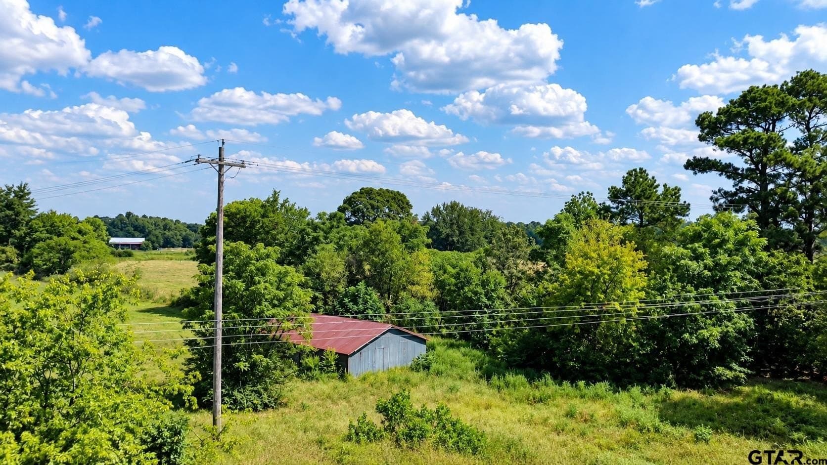 11.4 acres in Titus County - photo 2