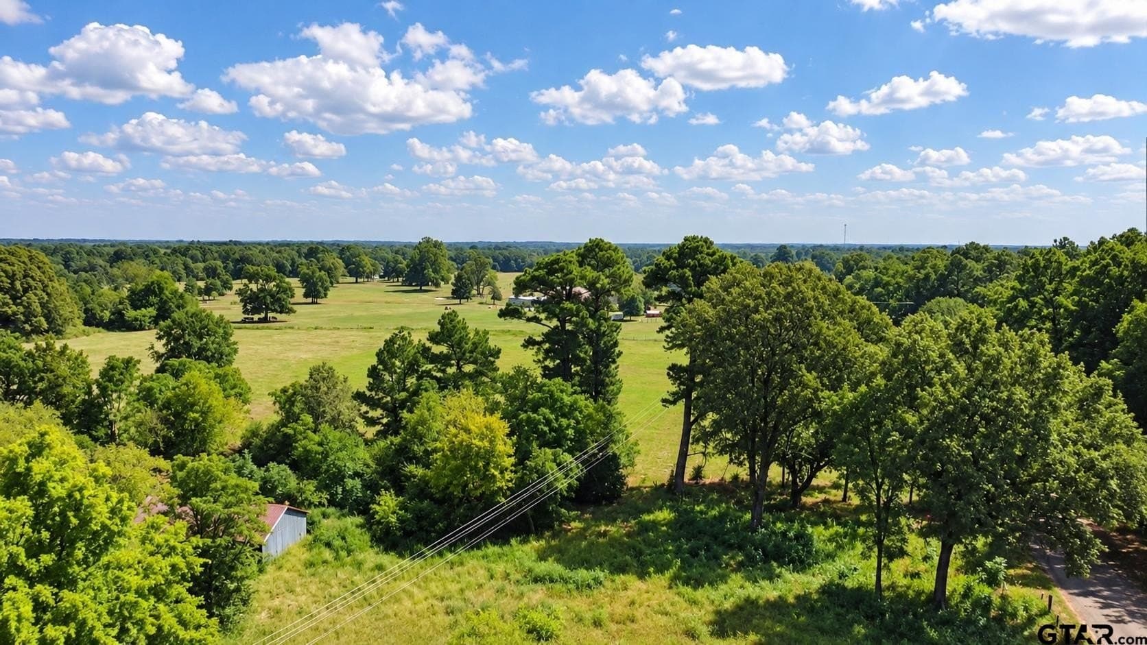 11.4 acres in Titus County - photo 4