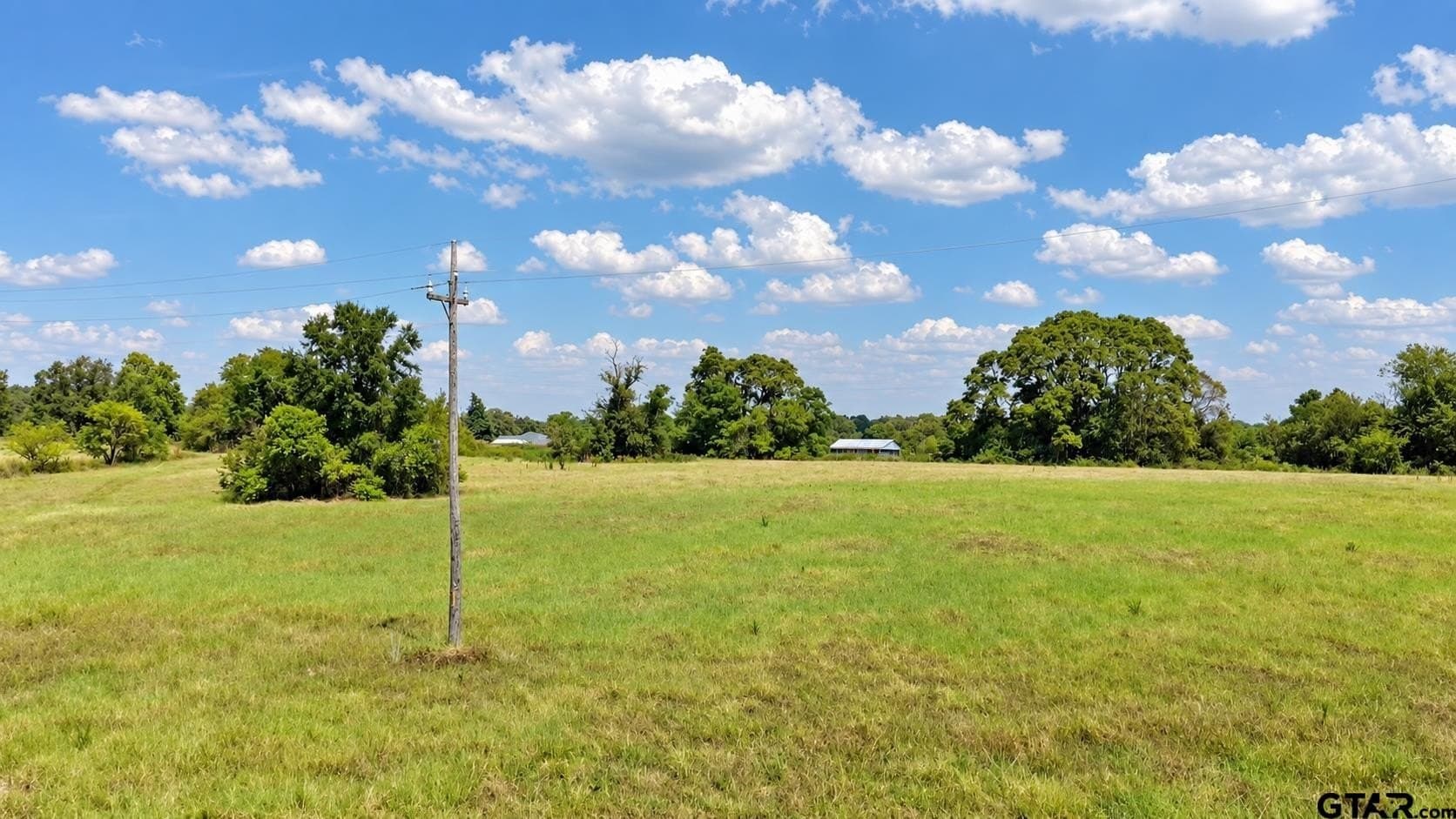 11.4 acres in Titus County - photo 5
