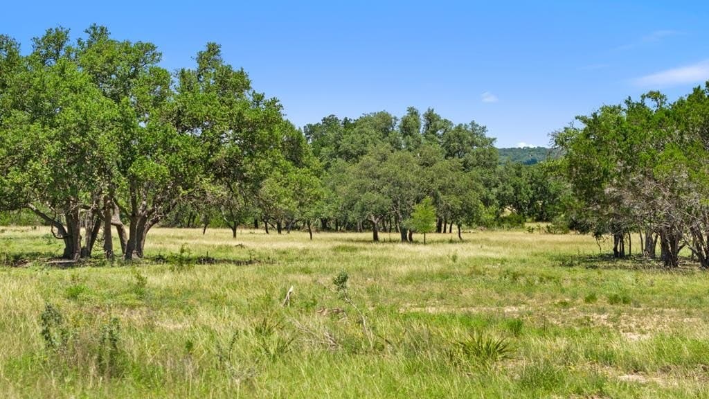 20 acres in Blanco County