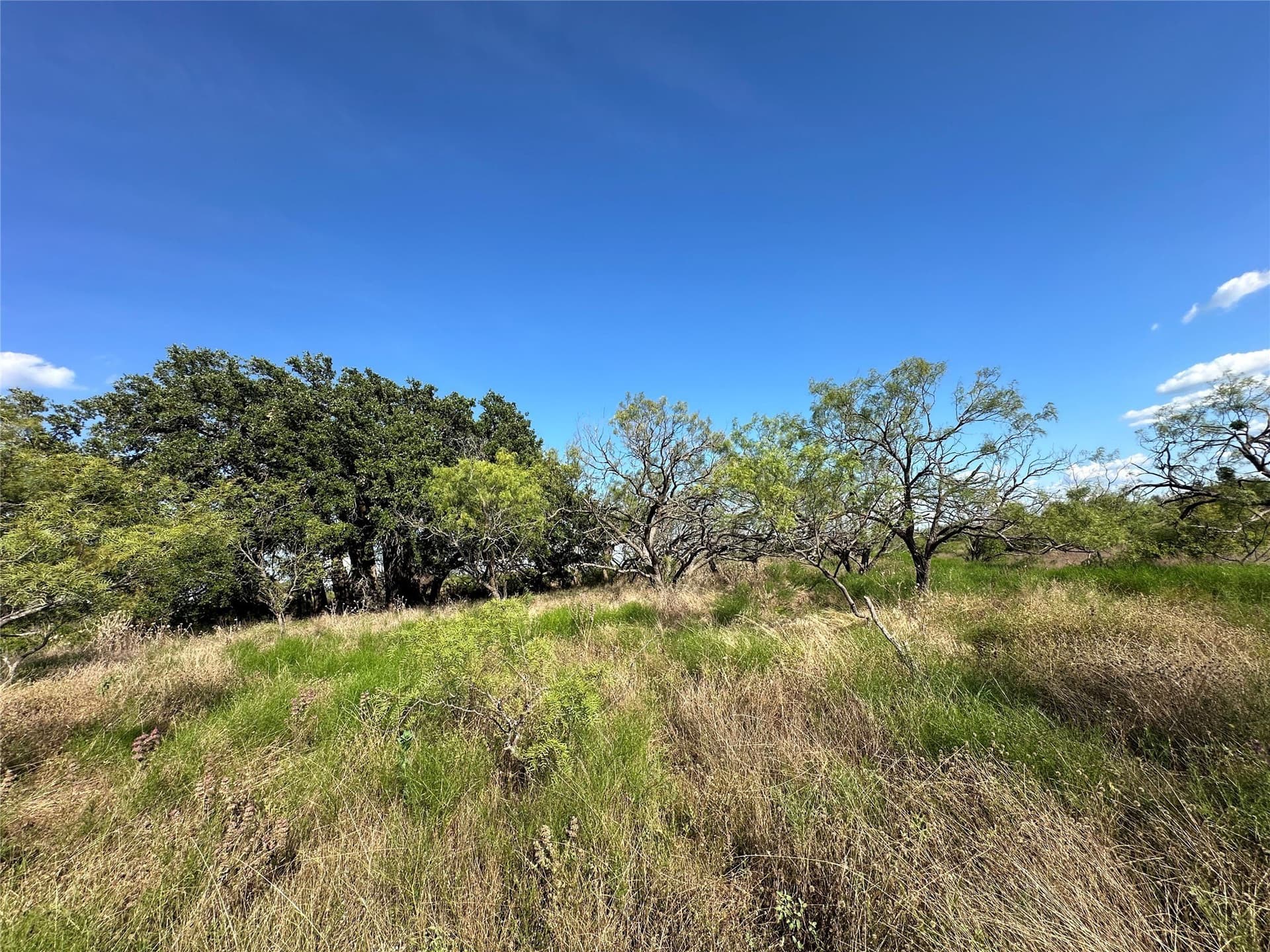75.03 acres in Hamilton County - photo 13