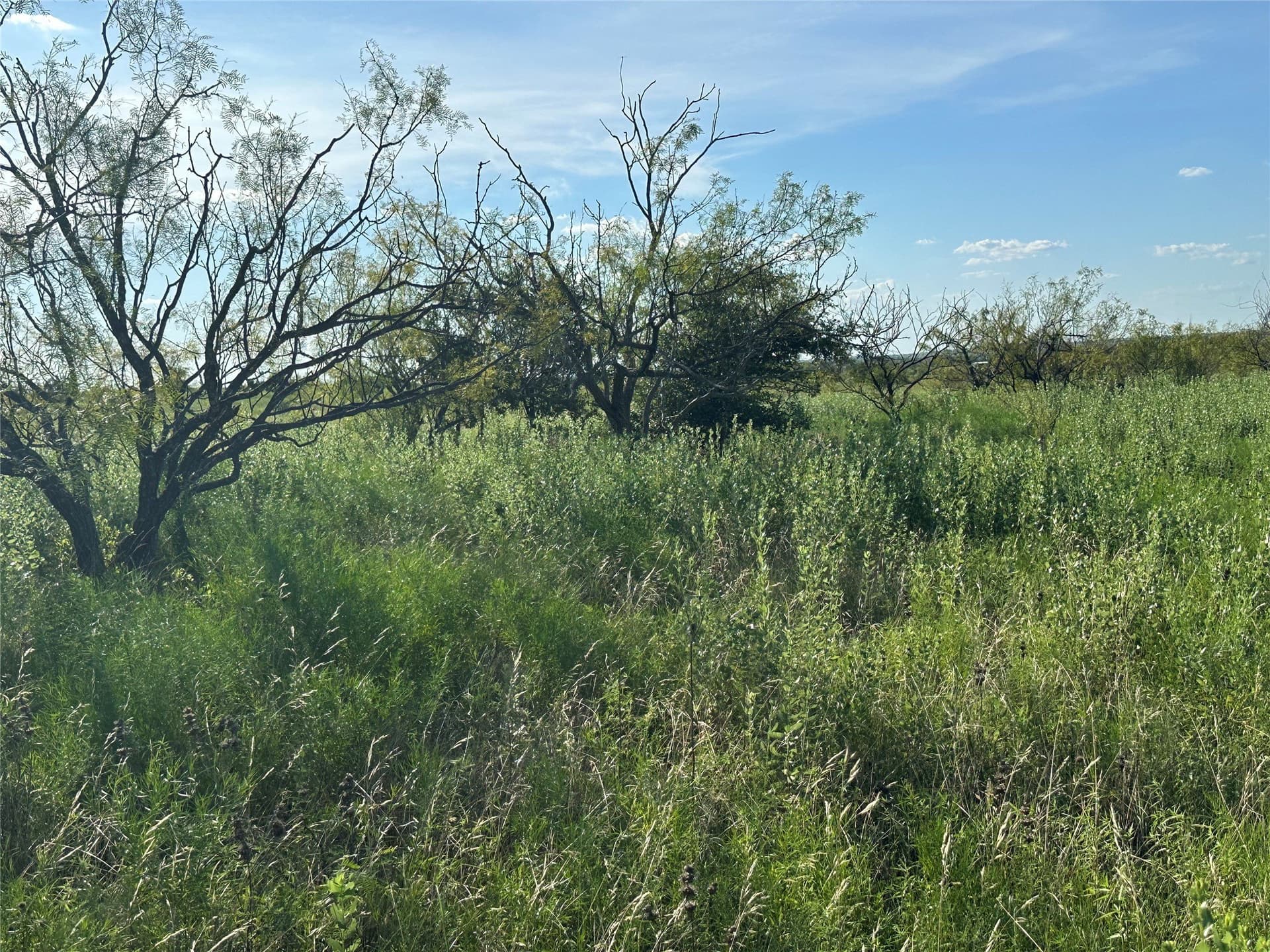 75.03 acres in Hamilton County - photo 20