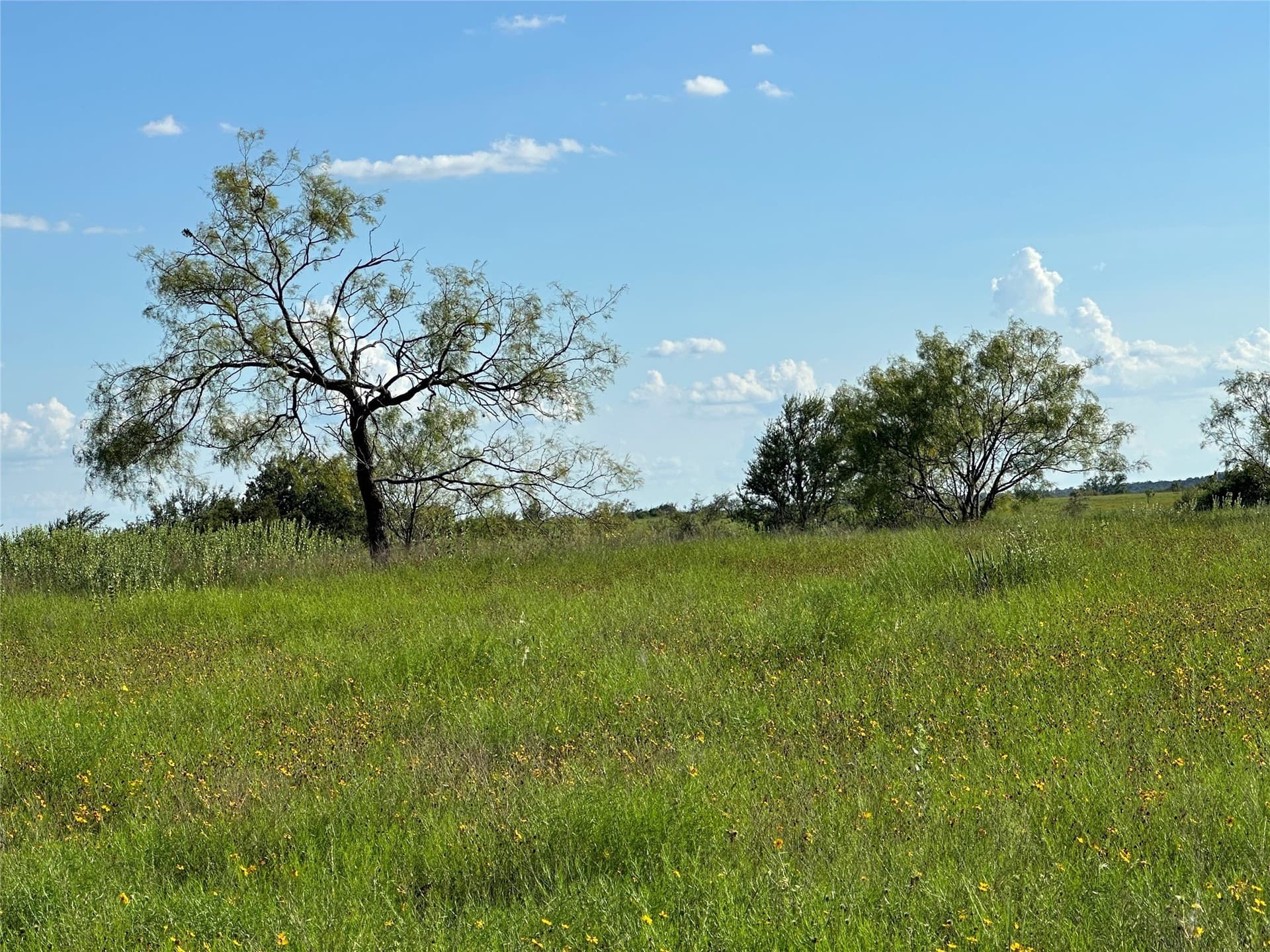 75.03 acres in Hamilton County - photo 19
