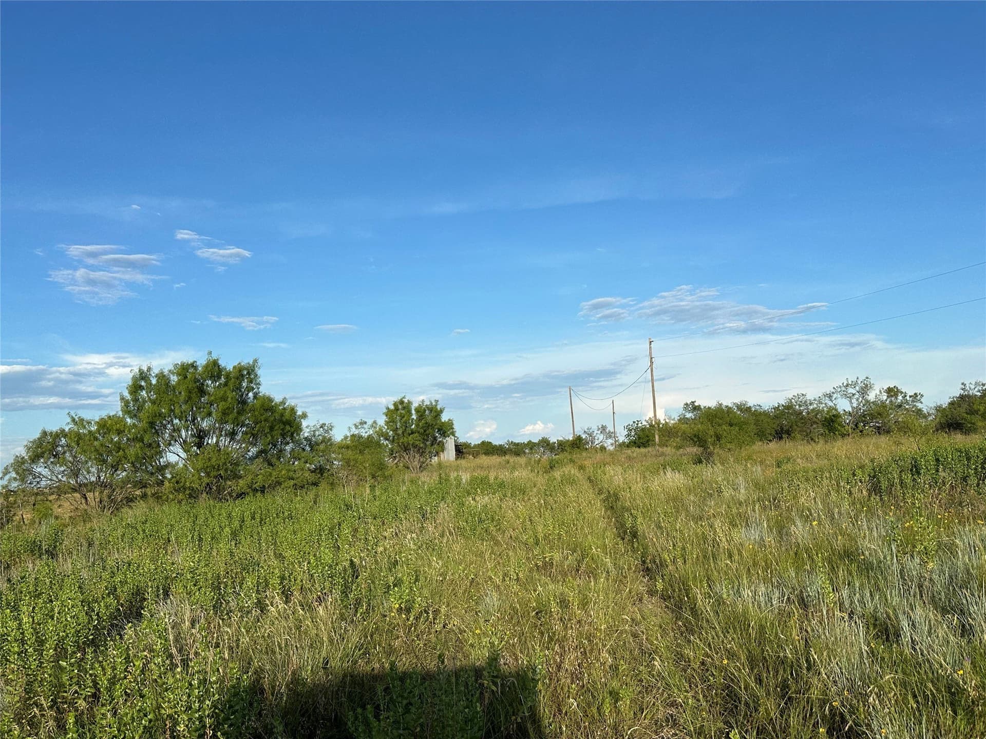 75.03 acres in Hamilton County - photo 22