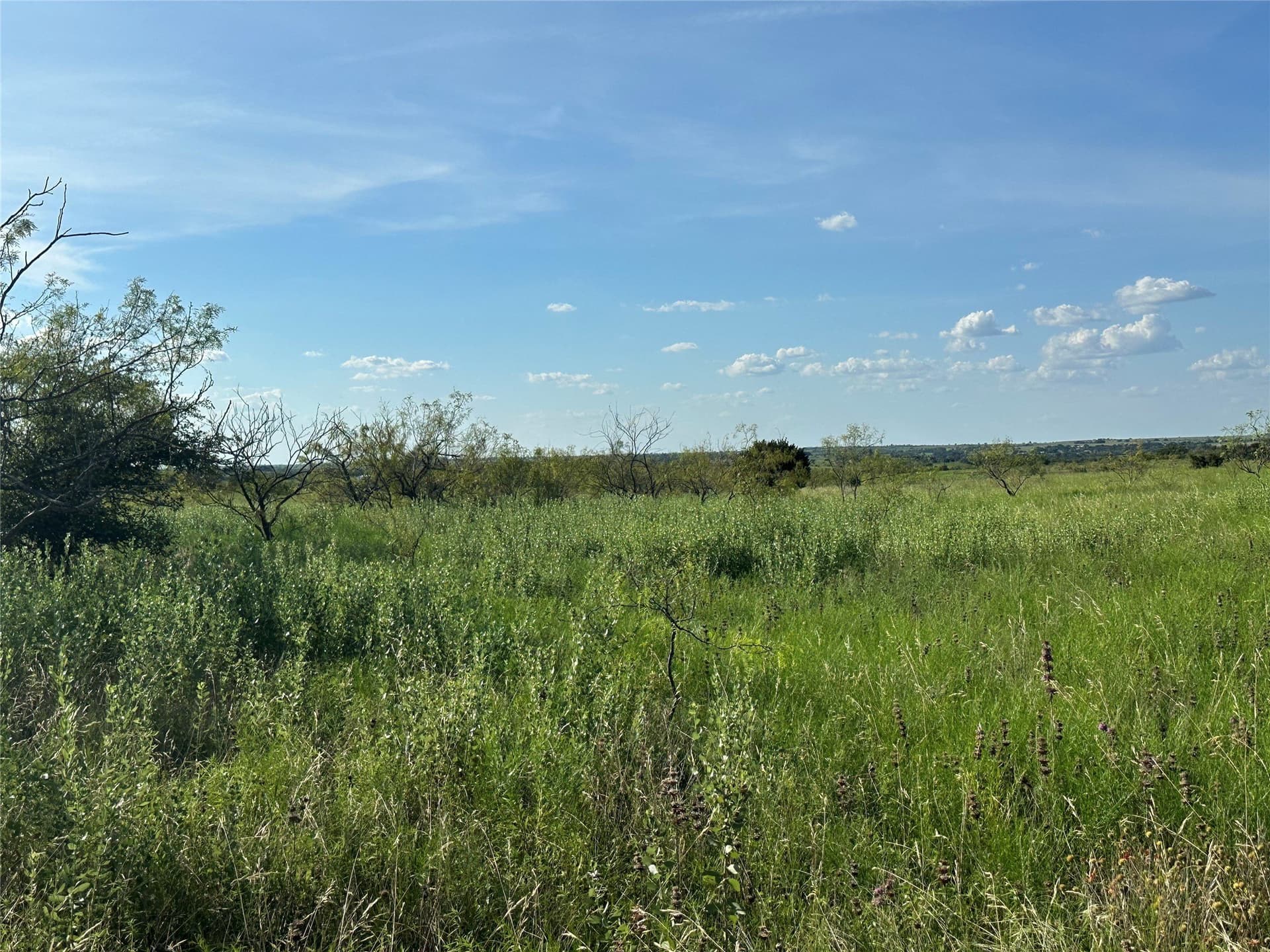 75.03 acres in Hamilton County - photo 21