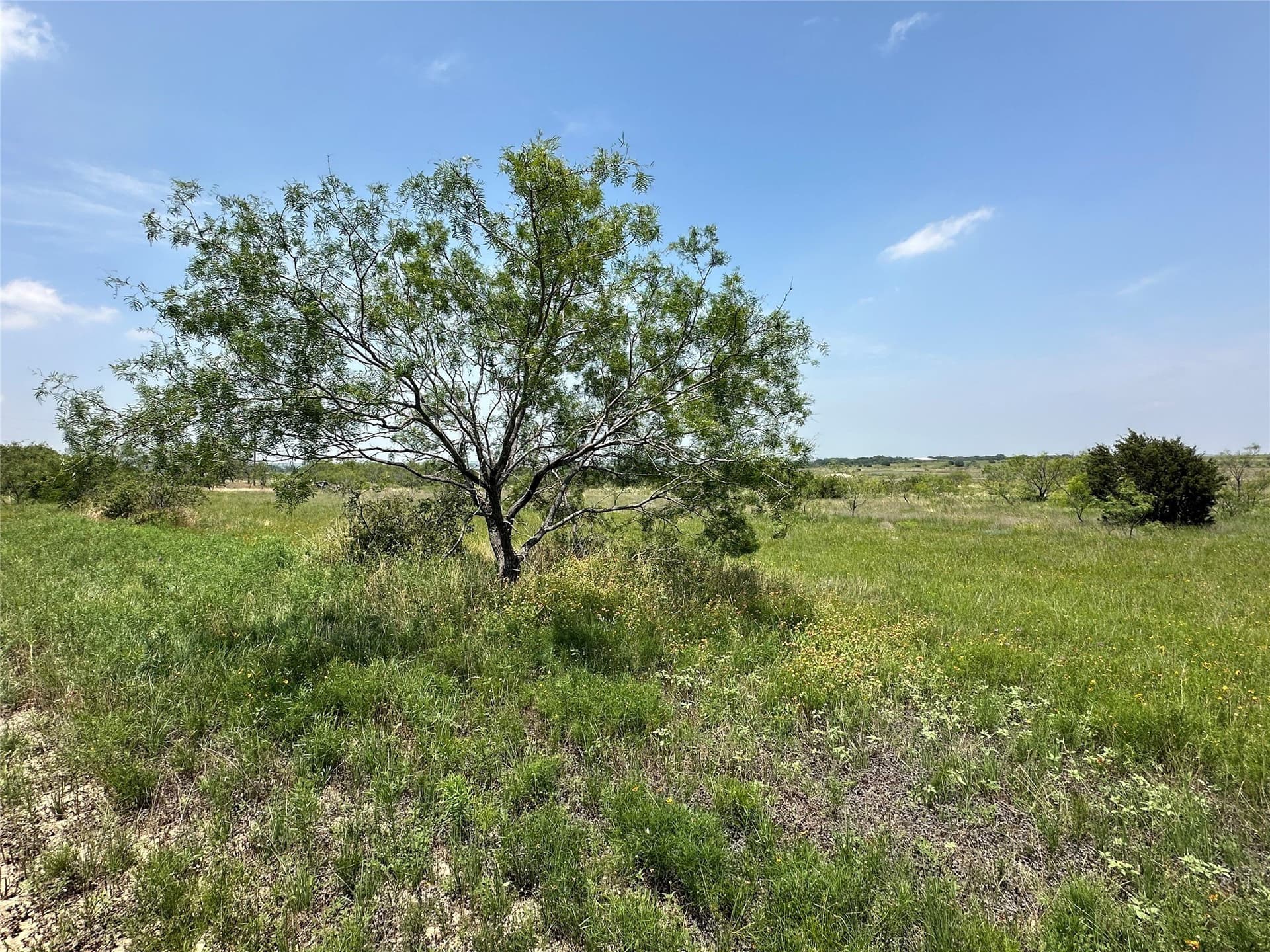 75.03 acres in Hamilton County - photo 11