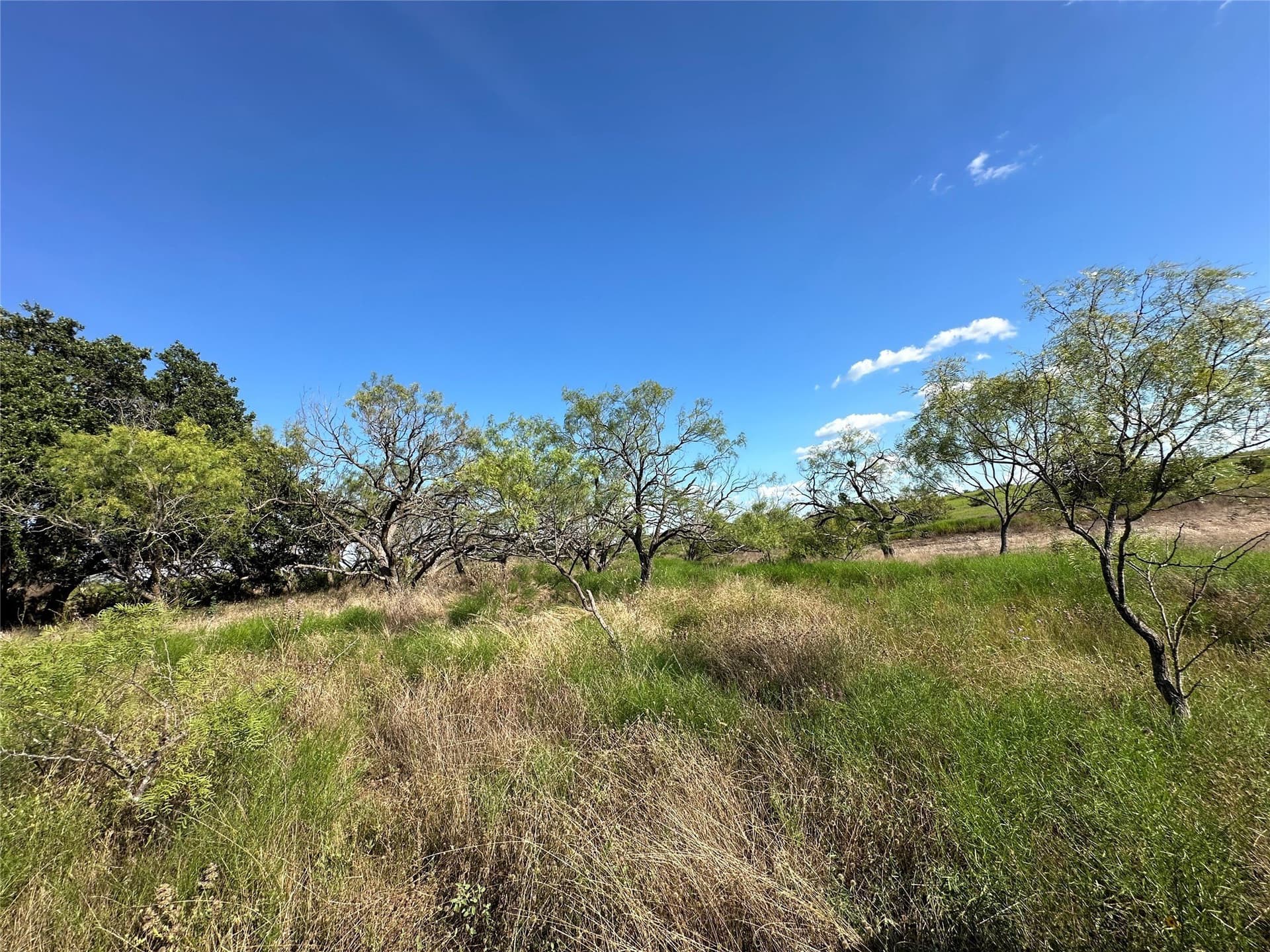 75.03 acres in Hamilton County - photo 15