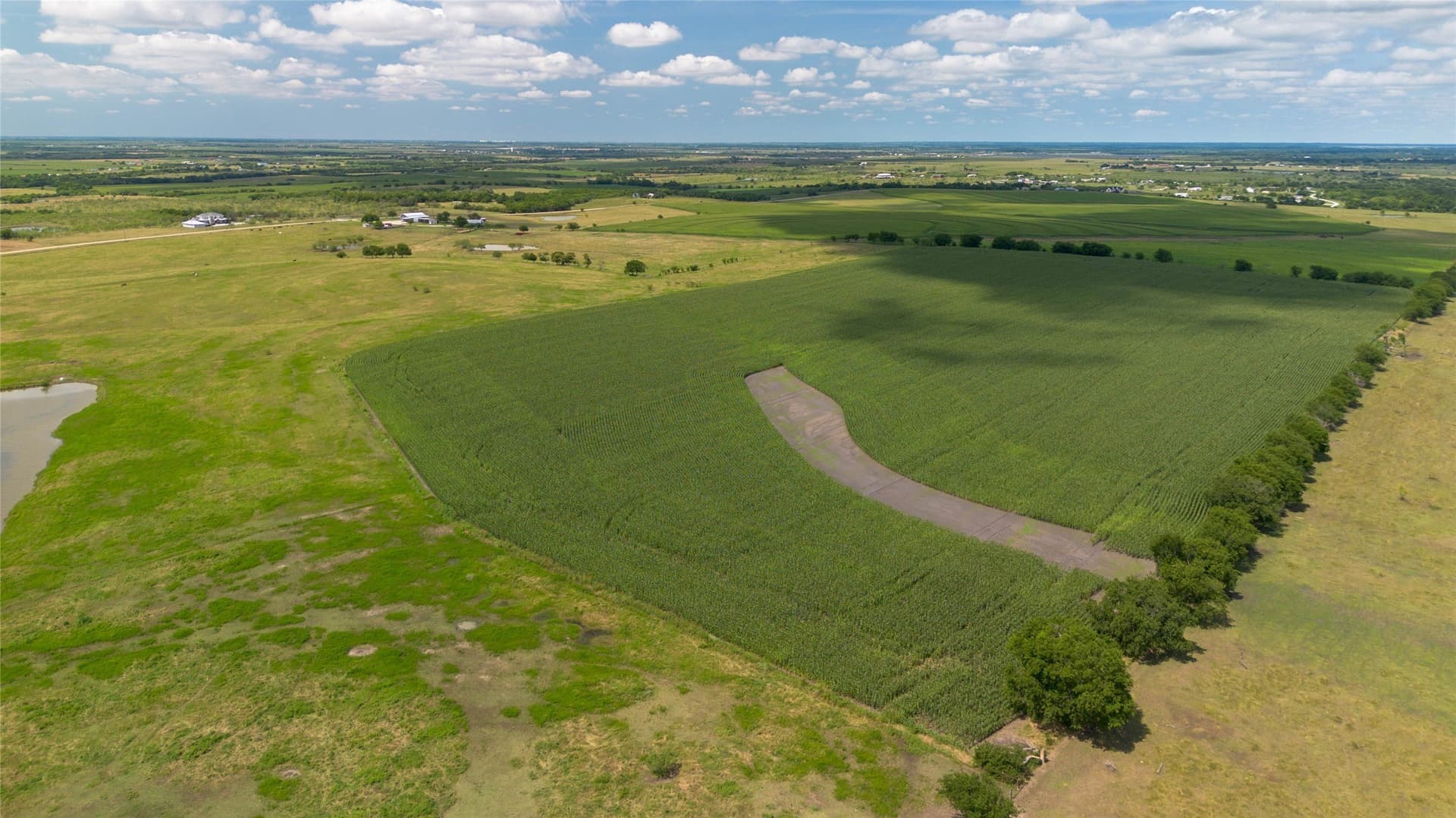 92.91 acres in Hill County - photo 5