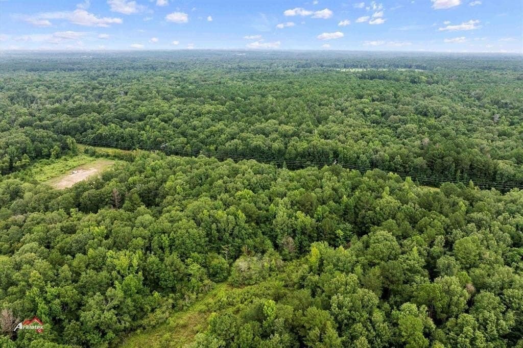 324 acres in Harrison County - photo 17