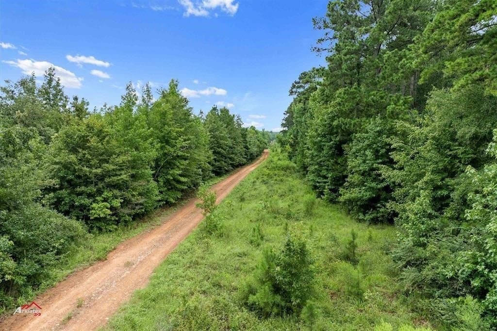 324 acres in Harrison County - photo 7