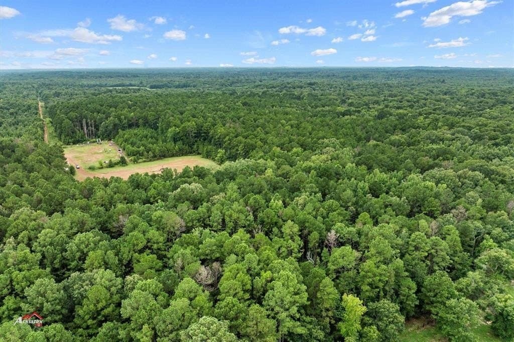 324 acres in Harrison County - photo 10