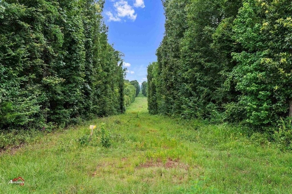 324 acres in Harrison County gallery image 3