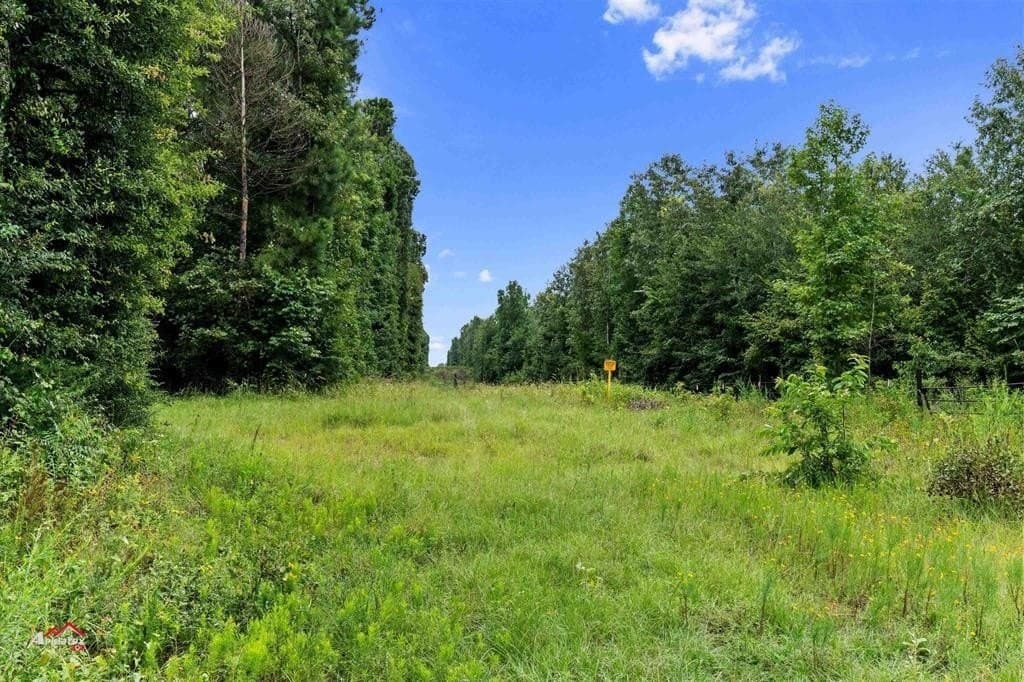 324 acres in Harrison County - photo 19