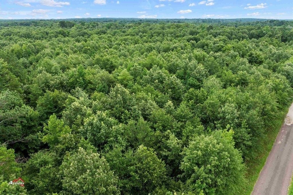 324 acres in Harrison County - photo 12