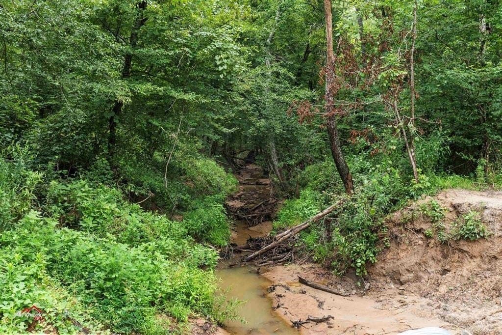 324 acres in Harrison County - photo 18