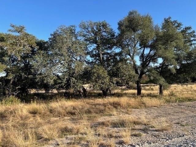 10.02 acres in Gillespie County - photo 2