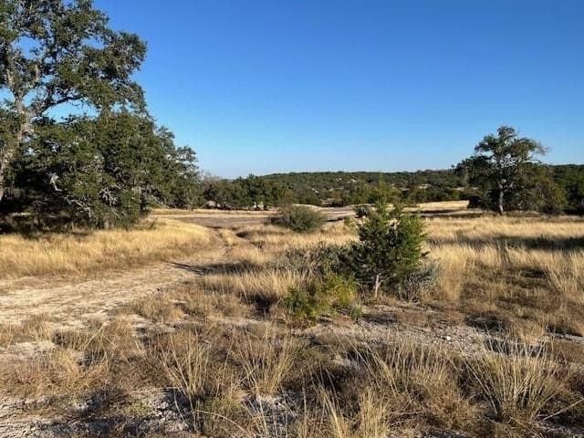 10.02 acres in Gillespie County - photo 3