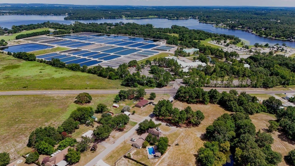 12.06 acres in Henderson County gallery image 4