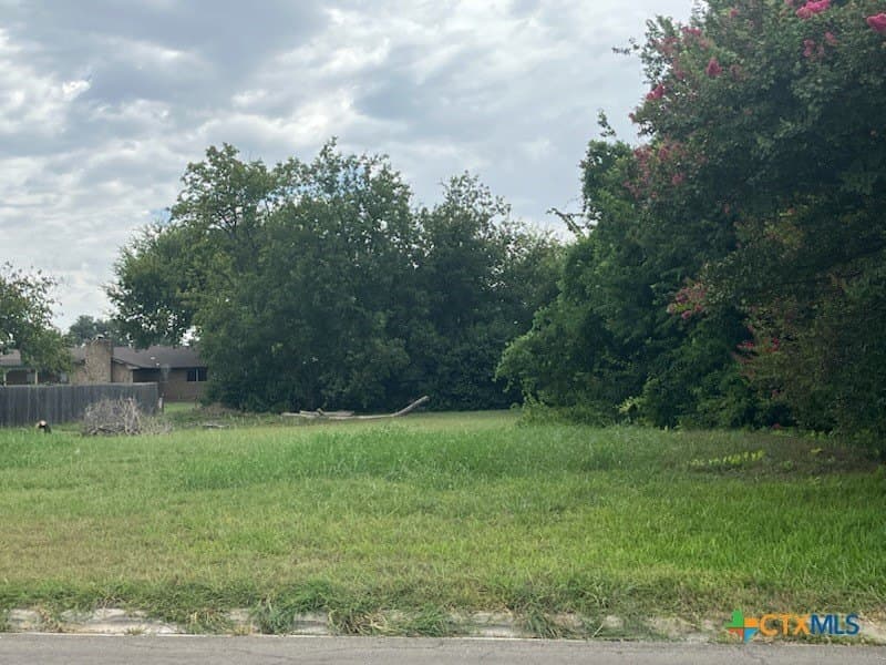 0.4 acres in Bell County gallery image 2