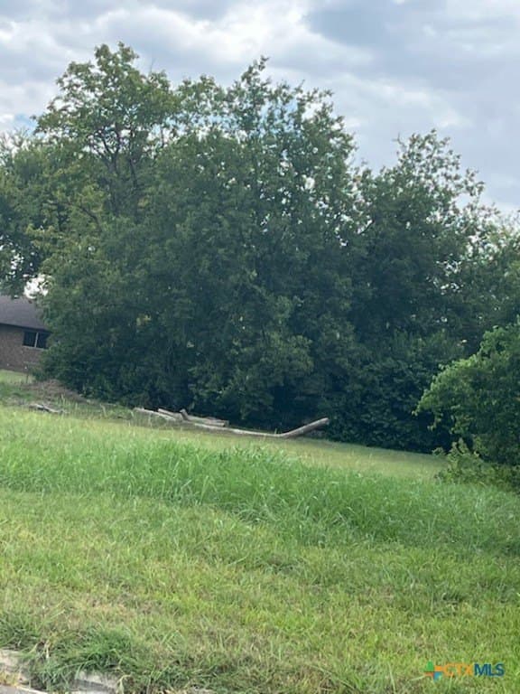 0.4 acres in Bell County gallery image 4