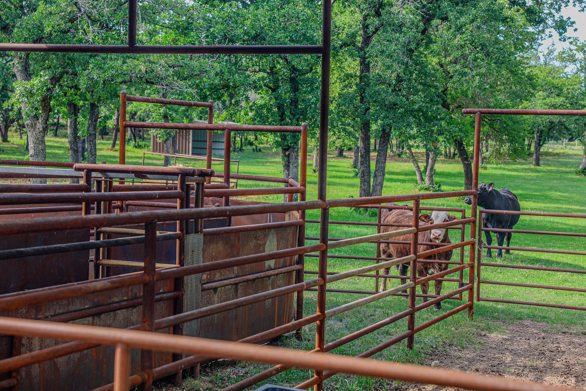 75 acres in Erath County - photo 31