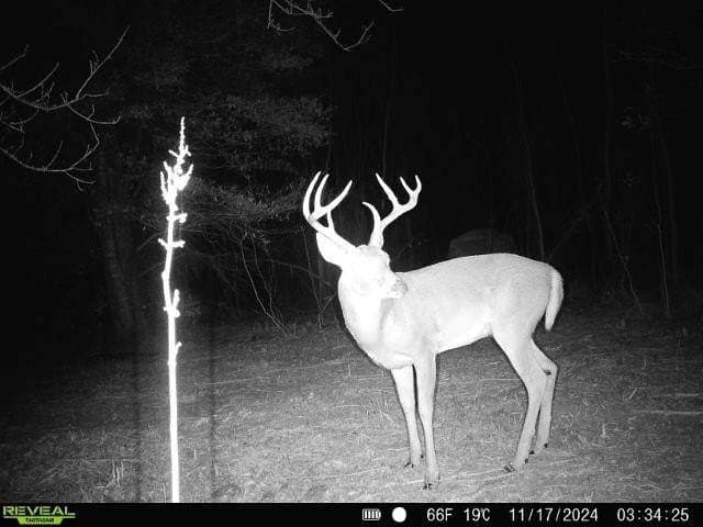 10.08 acres in Navarro County gallery image 2