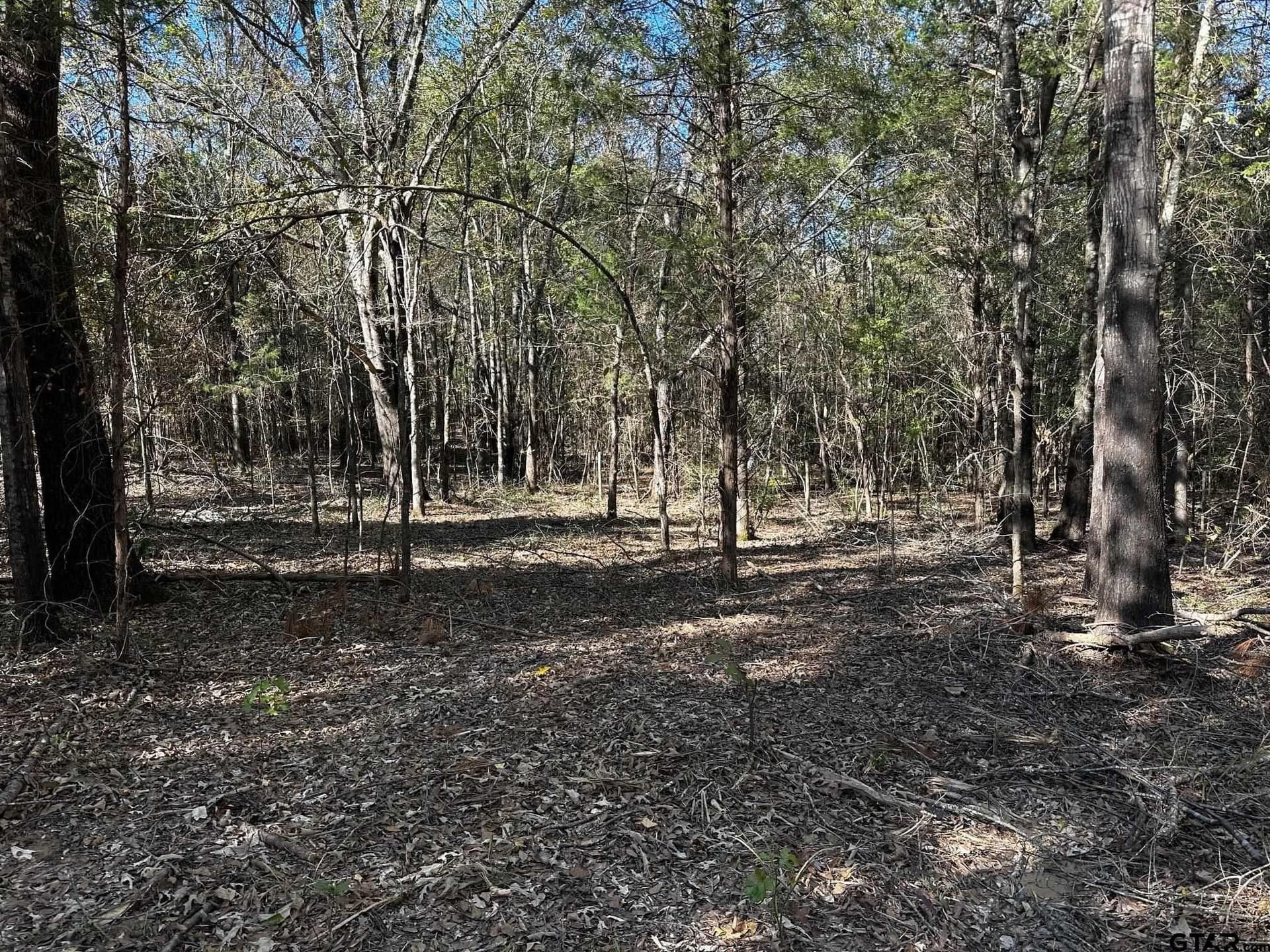 18.36 acres in Van Zandt County - photo 6