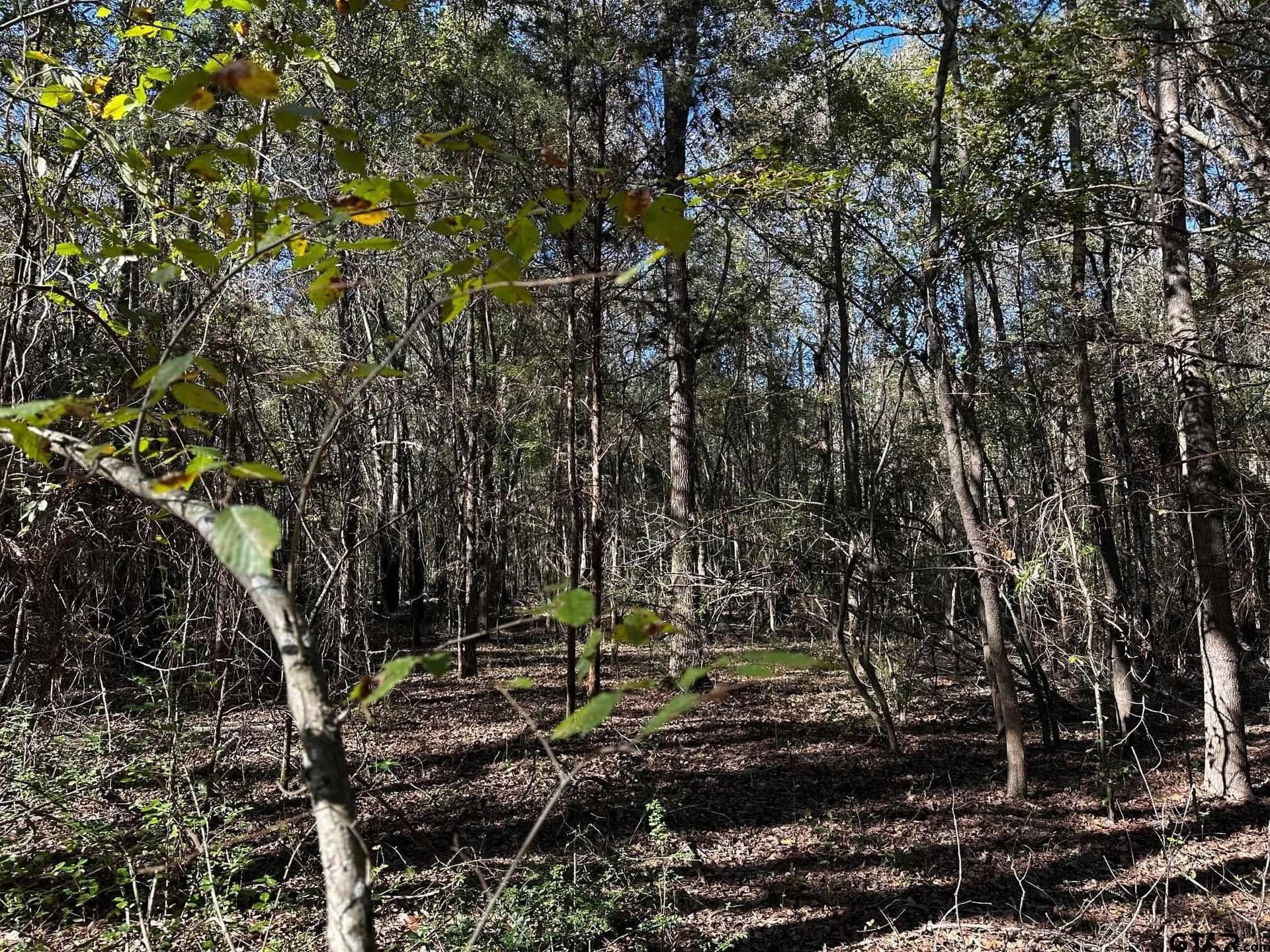 18.36 acres in Van Zandt County - photo 9