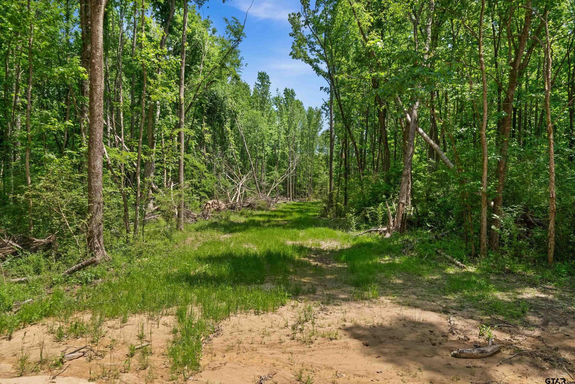 18.36 acres in Van Zandt County - photo 3