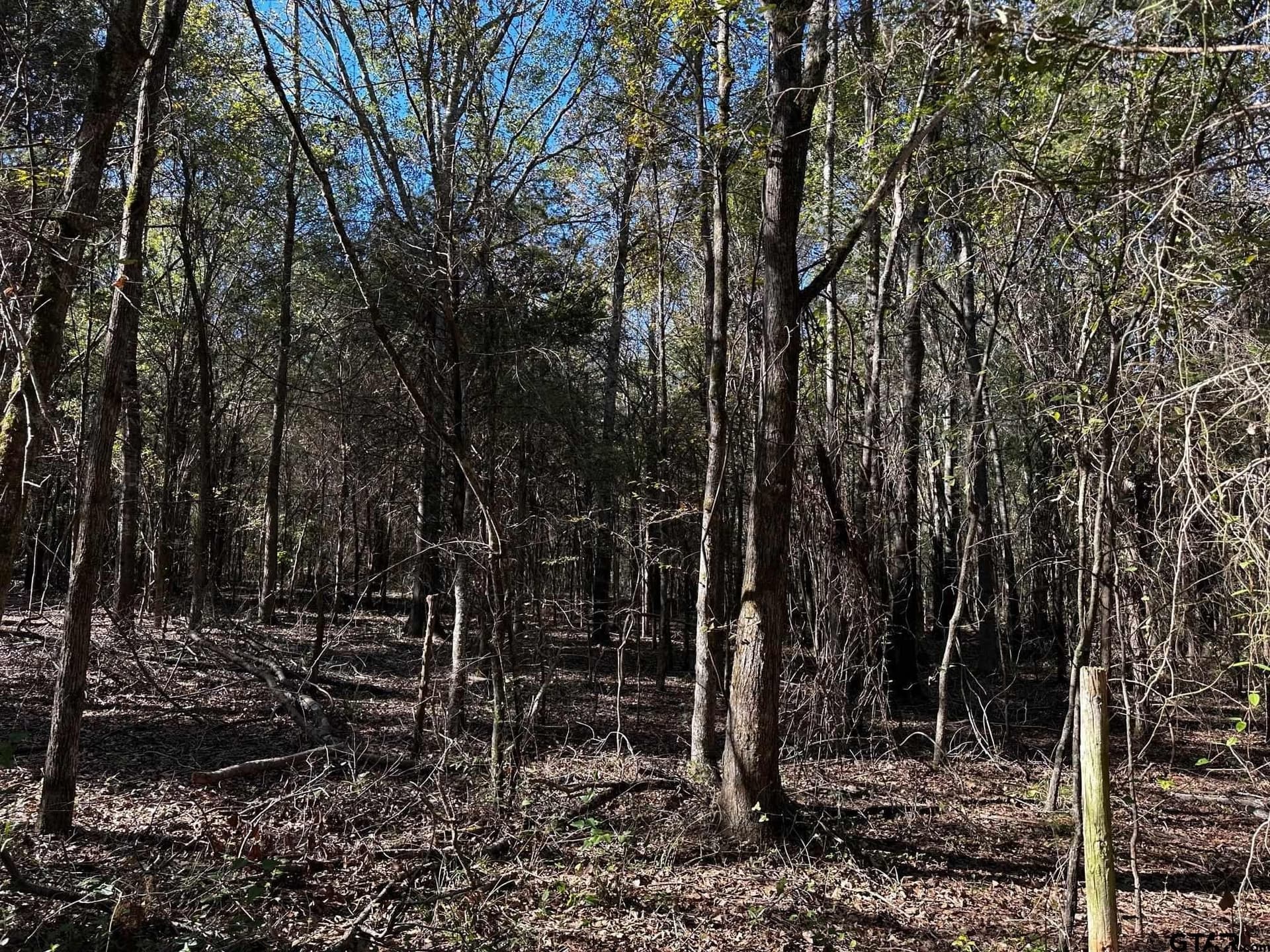 18.36 acres in Van Zandt County - photo 8